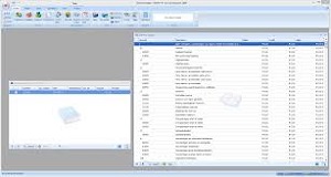 Direct Books accounting software